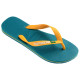 Havaianas Brasil Logo Havaianas Brasil Logo